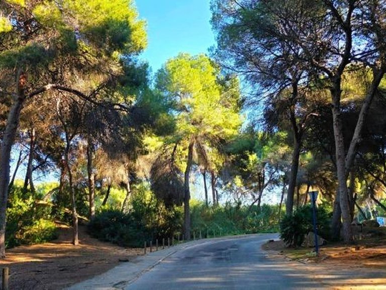 Villa for Sale in Campoamor, Alicante 33