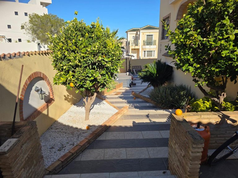 Villa for Sale in Costa Blanca Orihuela Costa, Alicante 8