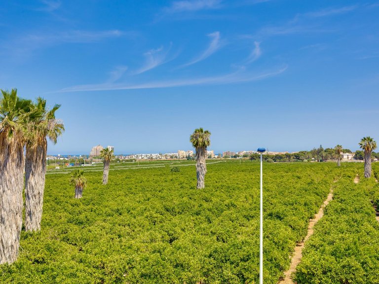 Town House for Sale in Costa Blanca Torrevieja, Alicante 38