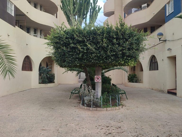 Apartment for Sale in Torrevieja, Alicante 4