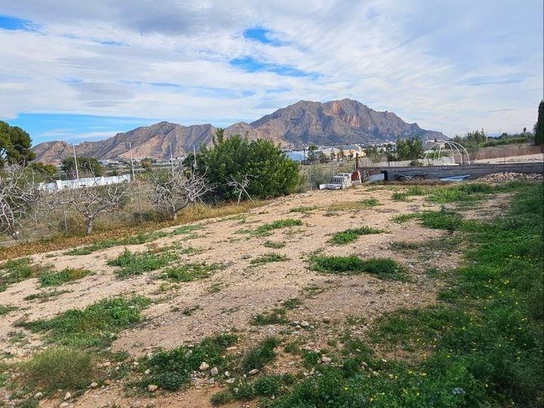 Villa for Sale in Inland Orihuela, Alicante 10