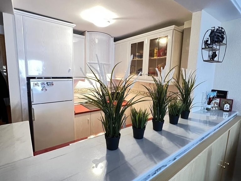 Apartment for Sale in Torrevieja, Alicante 4