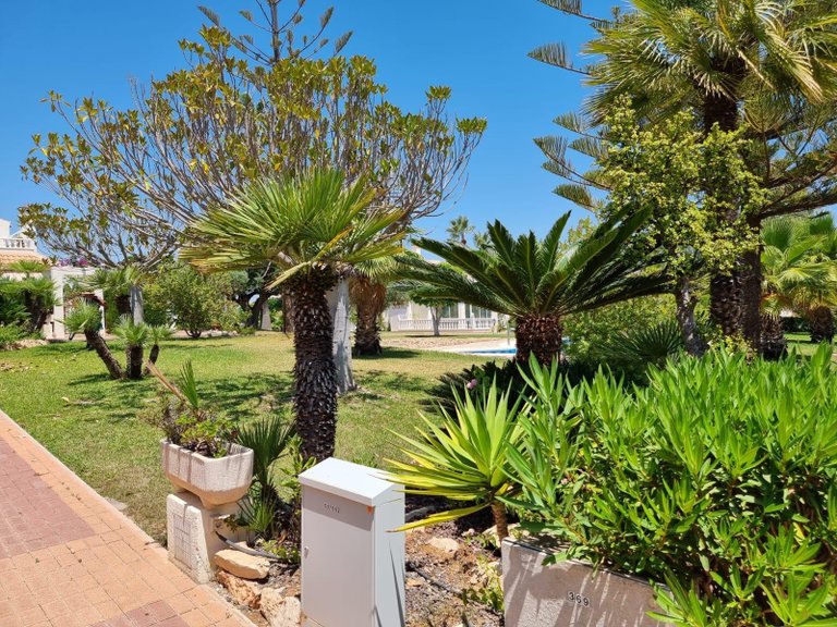 Apartment for Sale in Torrevieja, Alicante 17