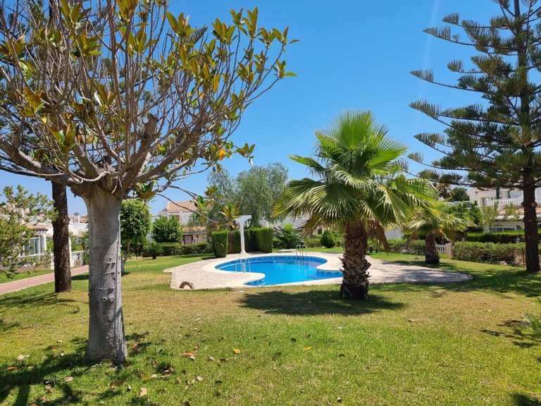 Apartment for Sale in Torrevieja, Alicante 3