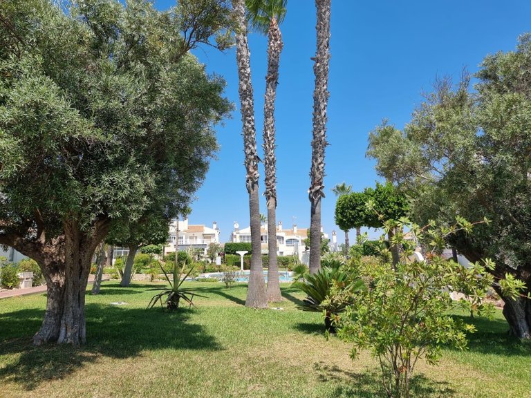 Apartment for Sale in Torrevieja, Alicante 4