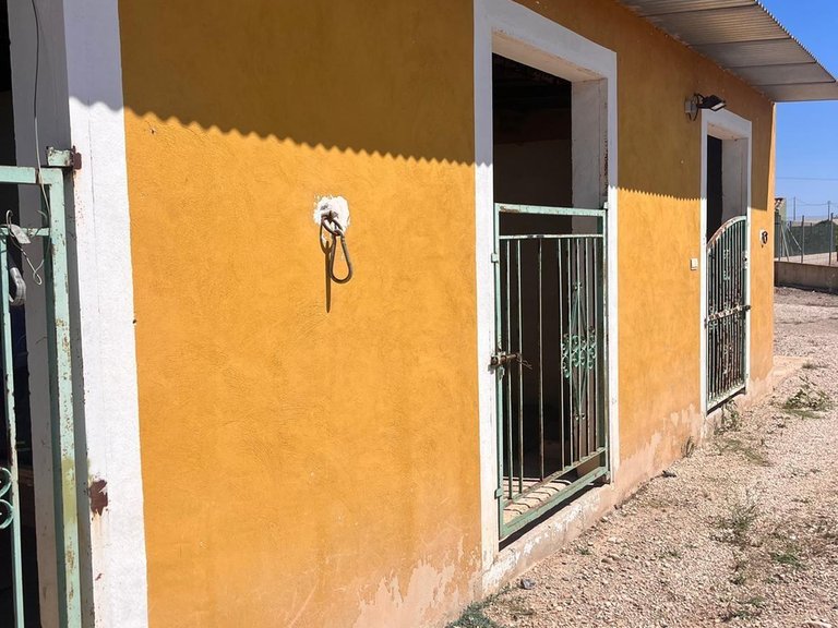 Country House for Sale in Costa Blanca Daya Nueva, Alicante 30