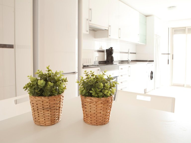 Apartment for Sale in Costa Blanca Santa Pola, Alicante 5