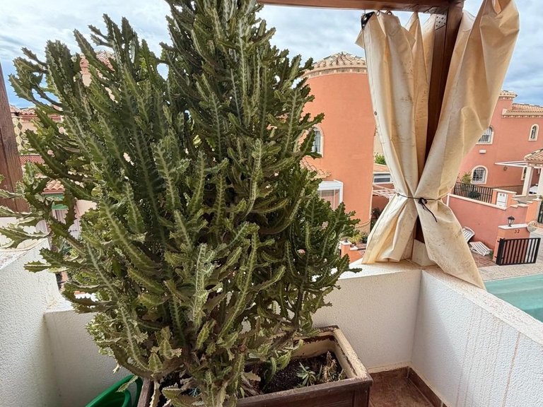 Villa for Sale in Costa Blanca Orihuela Costa, Alicante 22