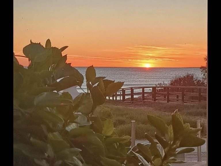 Villa for Sale in Costa Blanca Torrevieja, Alicante 8