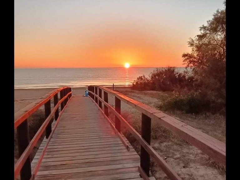 Villa for Sale in Costa Blanca Torrevieja, Alicante 9