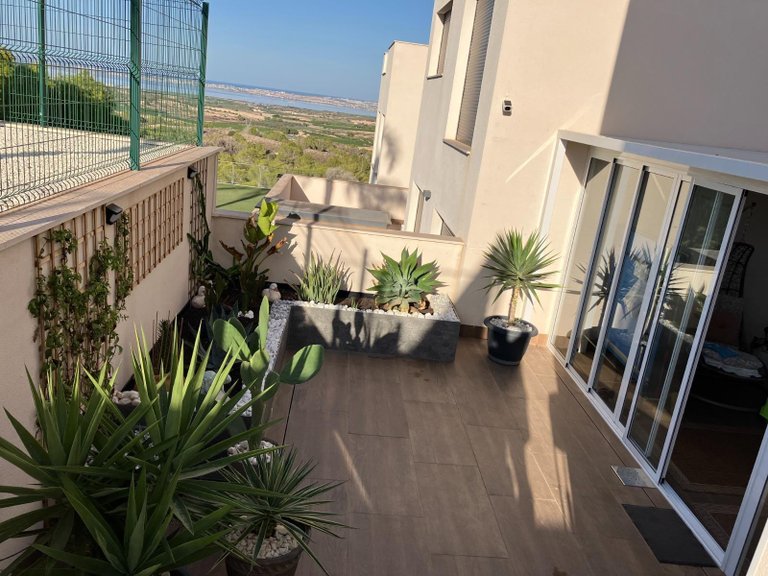 Villa for Sale in Inland San Miguel De Salinas, Alicante 4