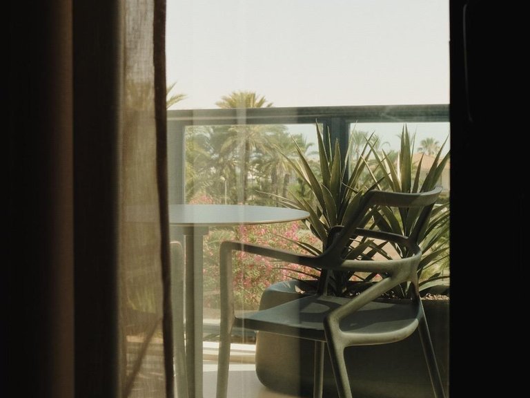 Apartment for Sale in Costa Blanca Torrevieja, Alicante 29