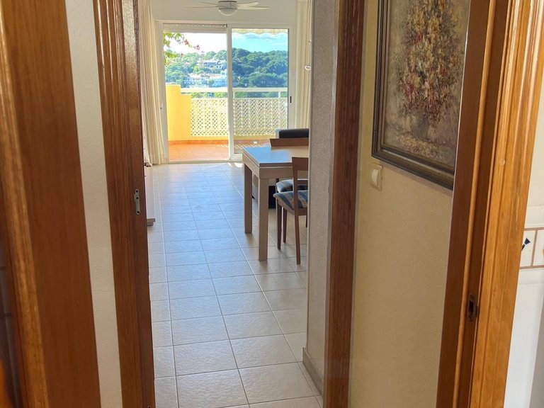 Apartment for Sale in Costa Blanca Orihuela Costa, Alicante 20