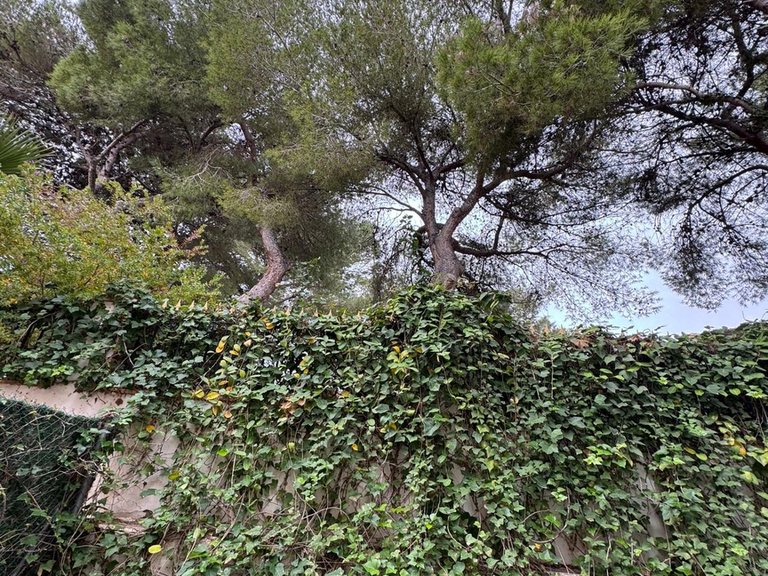 Town House for Sale in Costa Blanca Torrevieja, Alicante 4