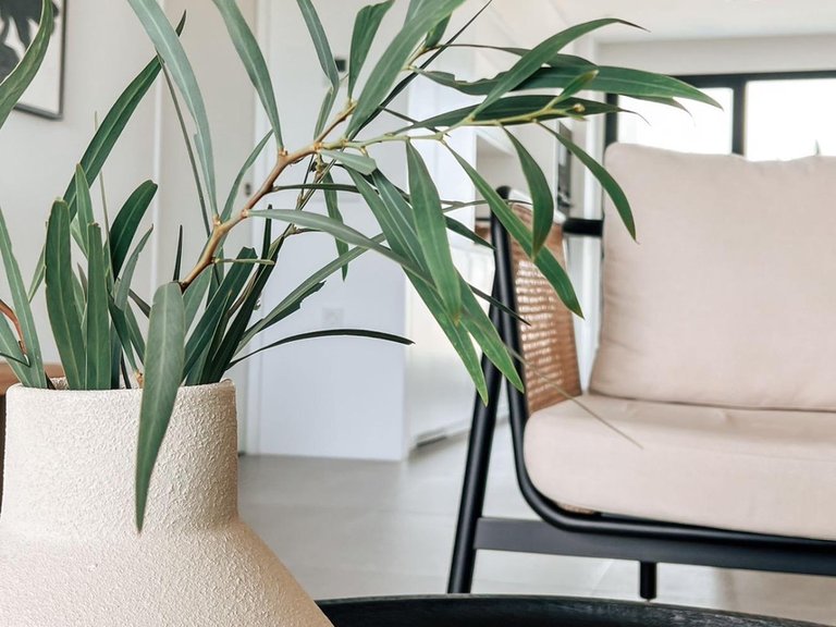 Apartment for Sale in Costa Blanca Orihuela Costa, Alicante 20