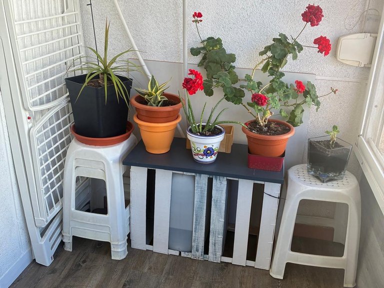Apartment for Sale in Torrevieja, Alicante 12