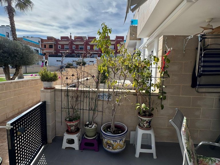 Town House for Sale in Inland Bigastro, Alicante 9