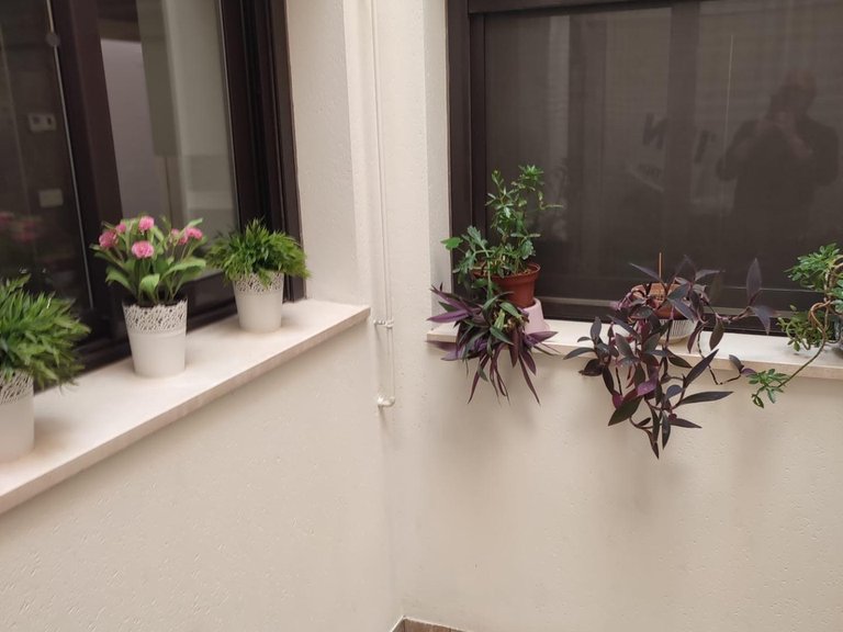 Apartment for Sale in Inland Orihuela, Alicante 7