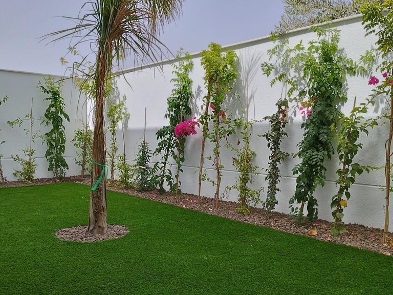 Villa for Sale in Parque del doce, San Javier, Murcia 35