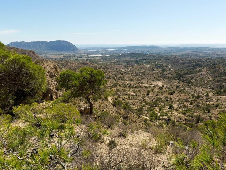 Villa for Sale in Aspe, Alicante 11