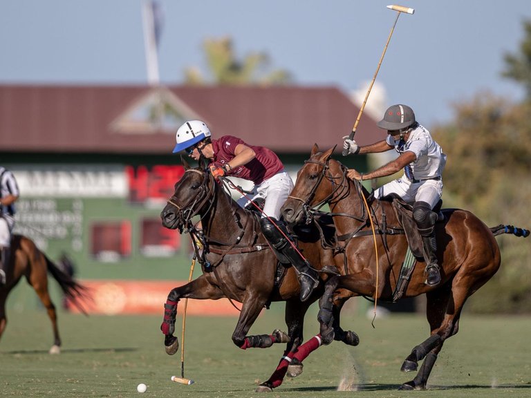 Villa for Sale in Sotogrande San Roque Golf, Cadiz 7