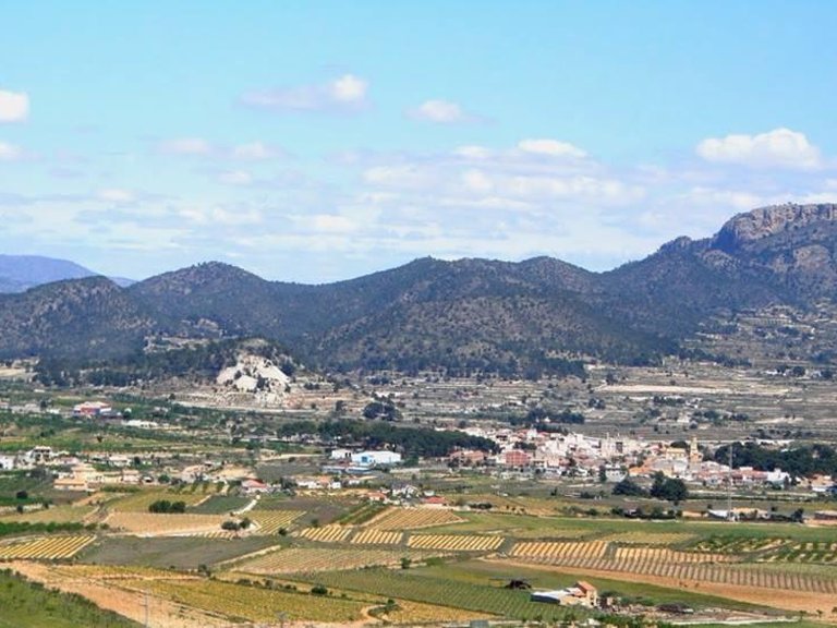 Villa for Sale in La Romana, Alicante 23
