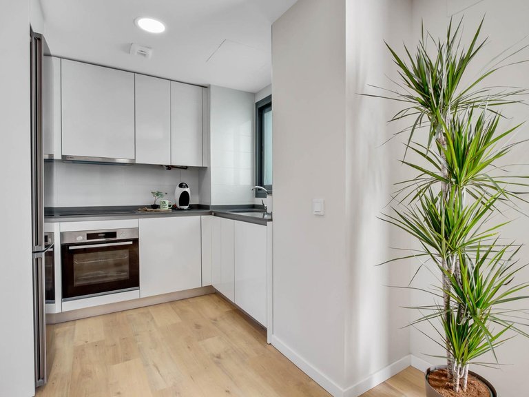 Penthouse for Sale in Las Lagunas Mijas, Malaga 8