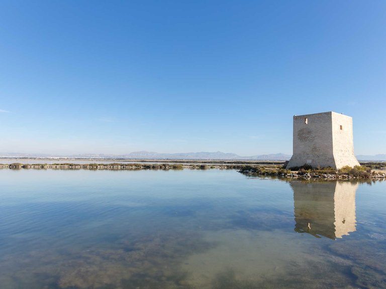 Apartment for Sale in Estacion de autobuses, Santa Pola, Alicante 12