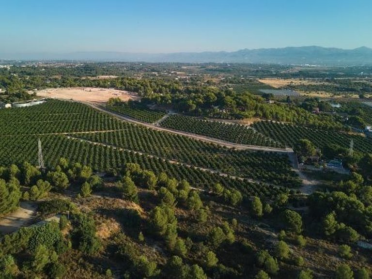 Apartment for Sale in Campolivar, Godella, Alicante 8