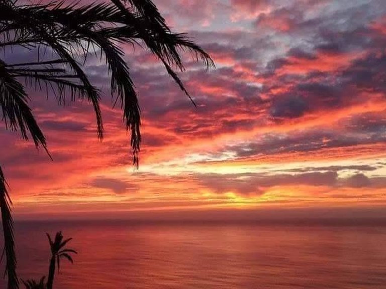 Apartment for Sale in Altos del Sol, Torrevieja, Alicante 13