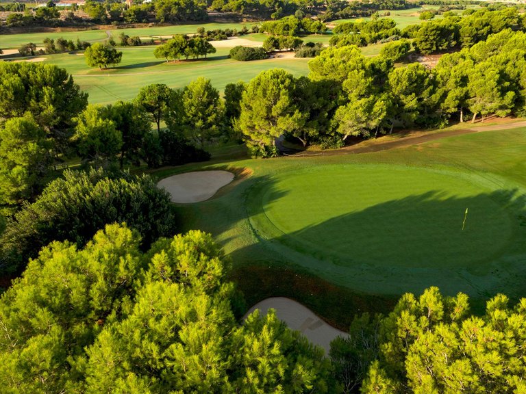 Villa for Sale in Lo Romero Golf, Pilar De La Horadada, Alicante 14