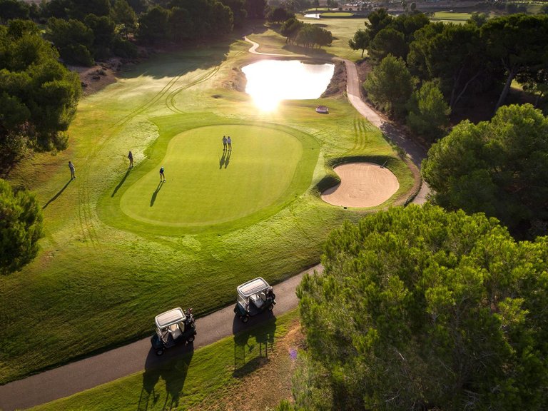 Villa for Sale in Lo Romero Golf, Pilar De La Horadada, Alicante 15