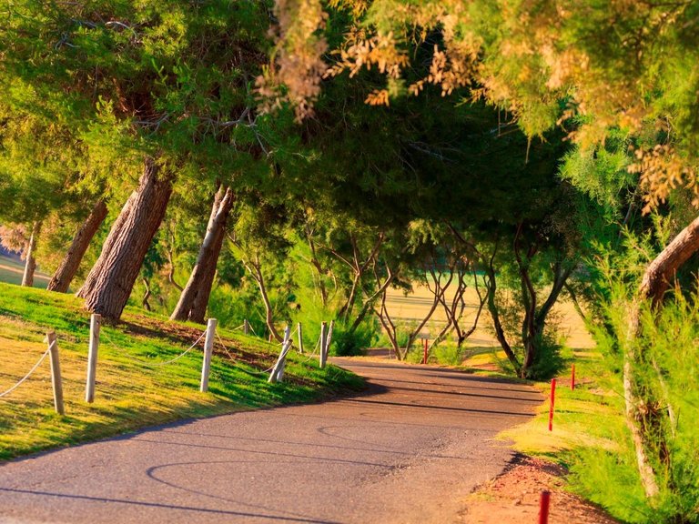 Villa for Sale in Lo Romero Golf, Pilar De La Horadada, Alicante 22