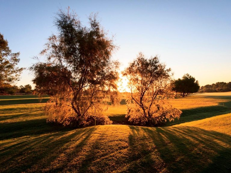 Villa for Sale in Lo Romero Golf, Pilar De La Horadada, Alicante 25