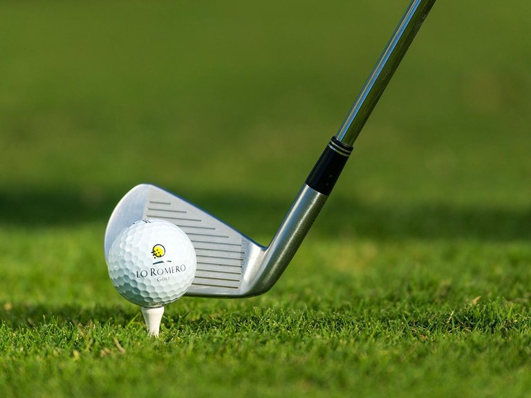 Villa for Sale in Lo Romero Golf, Pilar De La Horadada, Alicante 30