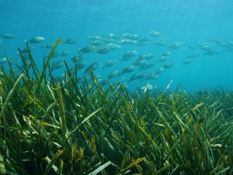 Villa for Sale in Benissa, Alicante 13