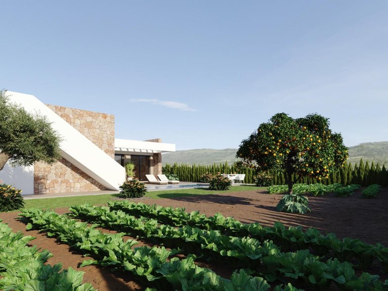 Villa for Sale in Fuente Alamo, Murcia 11