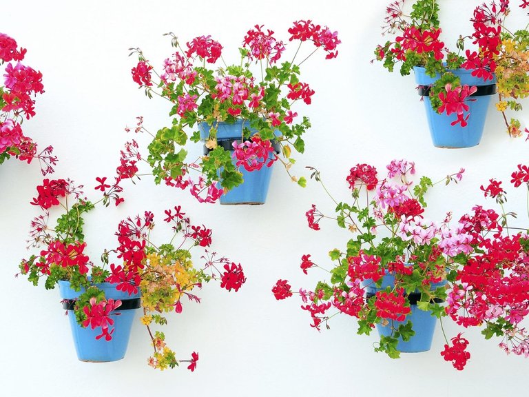 Apartment for Sale in La Noria Golf, Mijas, Malaga 7