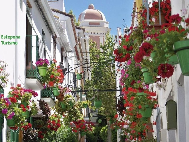 Apartment for Sale in Estepona, Malaga 11