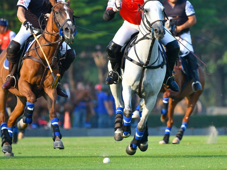 Apartment for Sale in Bahia De Las Rocas Manilva, Malaga 31