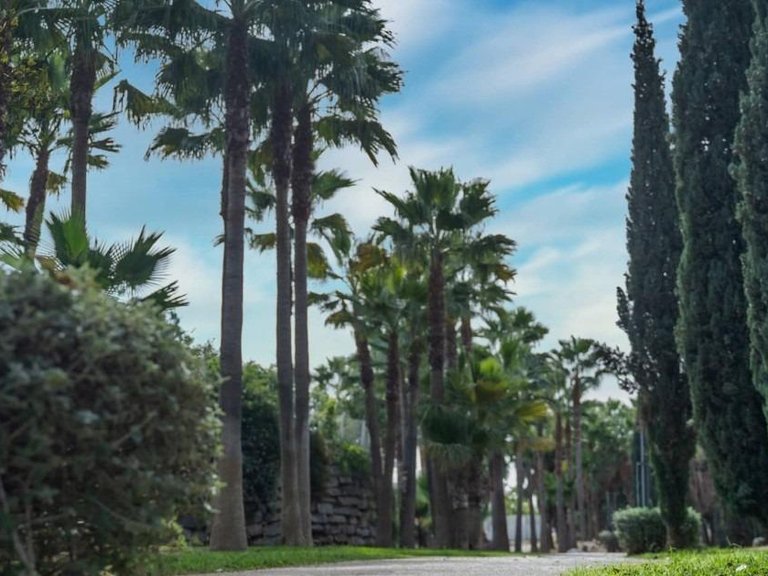 Apartment for Sale in Higueron, Fuengirola, Malaga 9