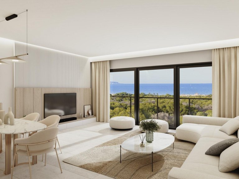 Penthouse for Sale in Guardamar Del Segura, Alicante 6