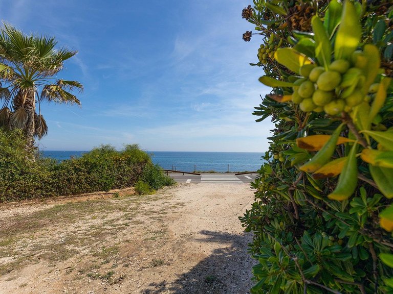 Apartment for Sale in Torrevieja, Alicante, 30