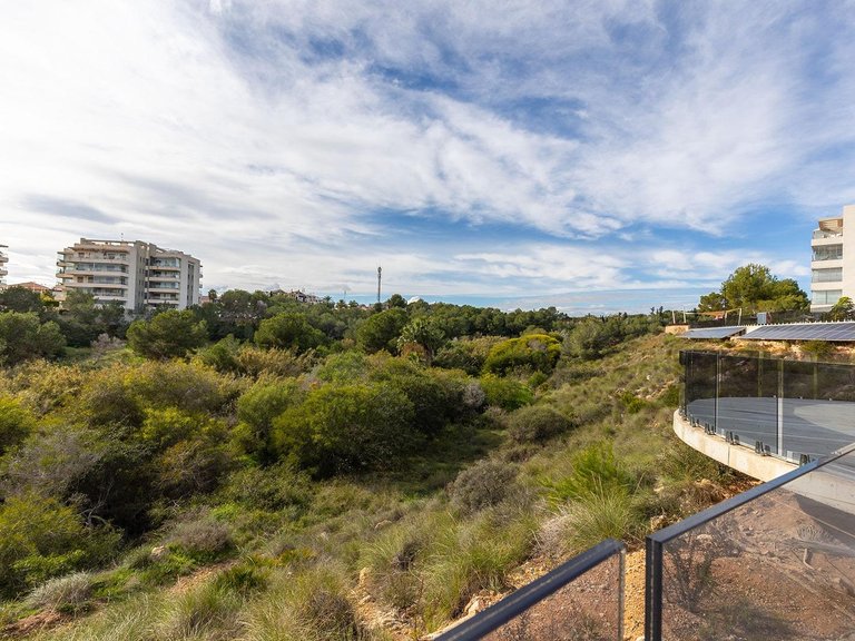 Apartment for Sale in Orihuela Costa, Alicante, 31