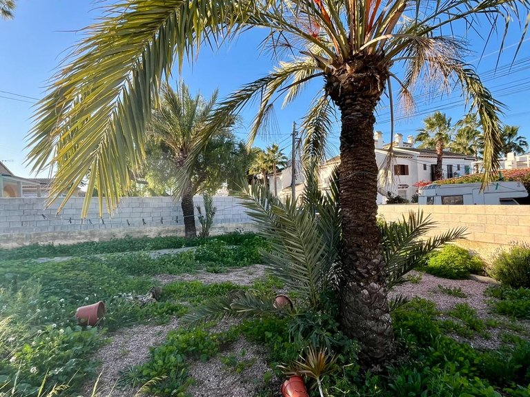 Villa for Sale in Torrevieja, Alicante, 7