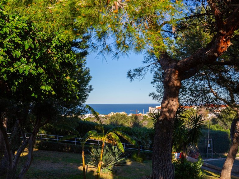 Apartment for Sale in Torrevieja, Alicante, 24