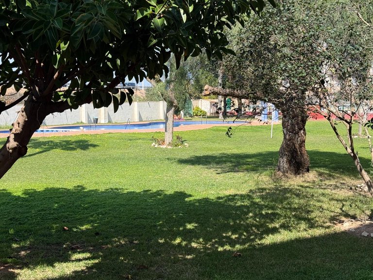 Apartment for Sale in Torrevieja, Alicante, 16