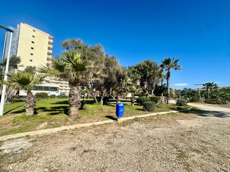 Apartment for Sale in Torrevieja, Alicante, 29