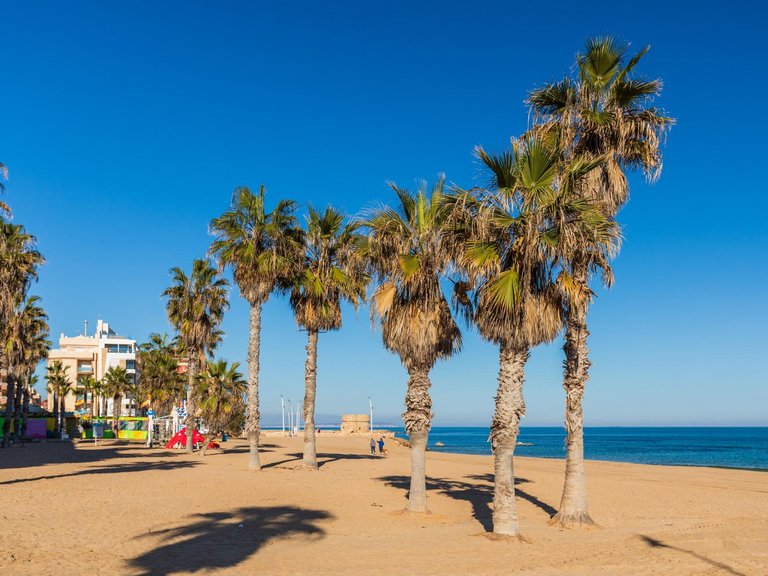 Apartment for Sale in Torrevieja, Alicante, 34