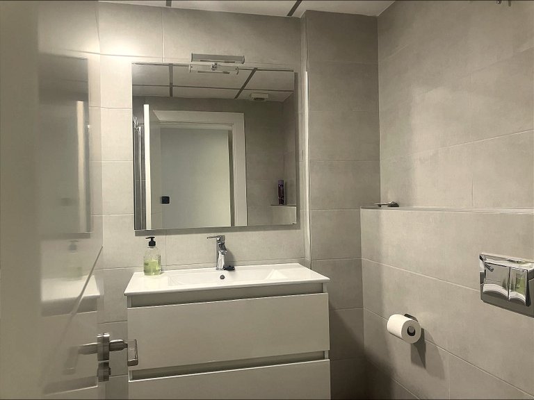 Penthouse for Rent in Alicante, Alicante 21